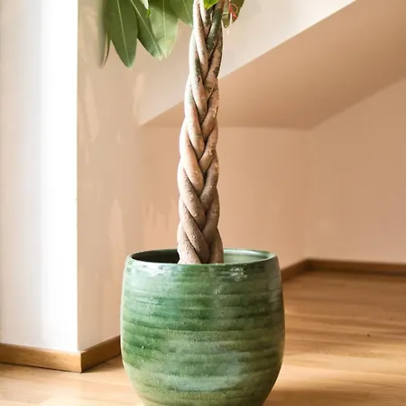 Stylische Mit Balkon - Perfekt Fuer Gruppen Apartament